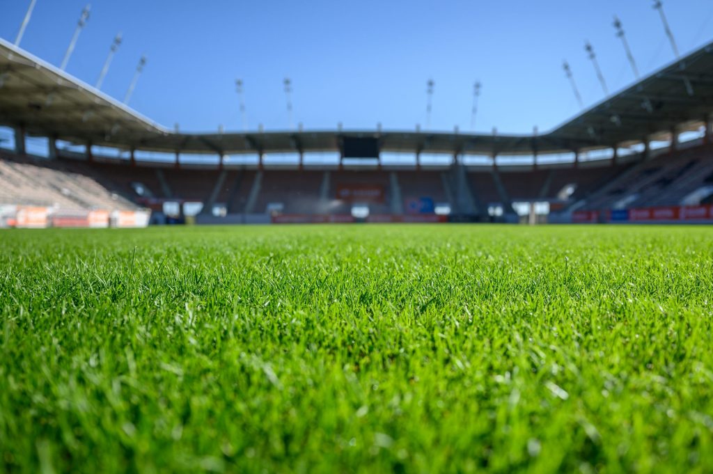 grass,at,the,football,stadium,during,sunny,summer,day