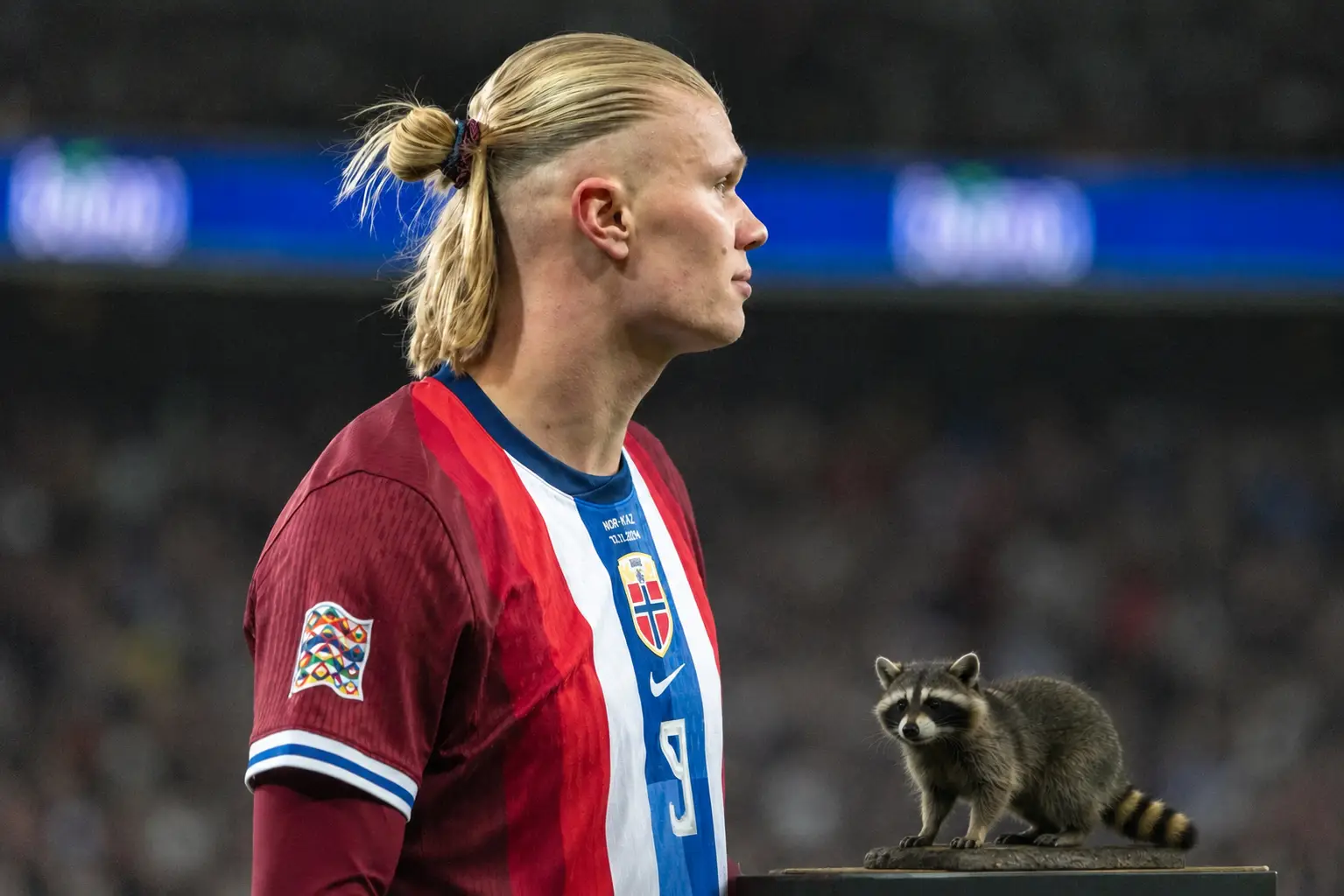 haaland-raccoon