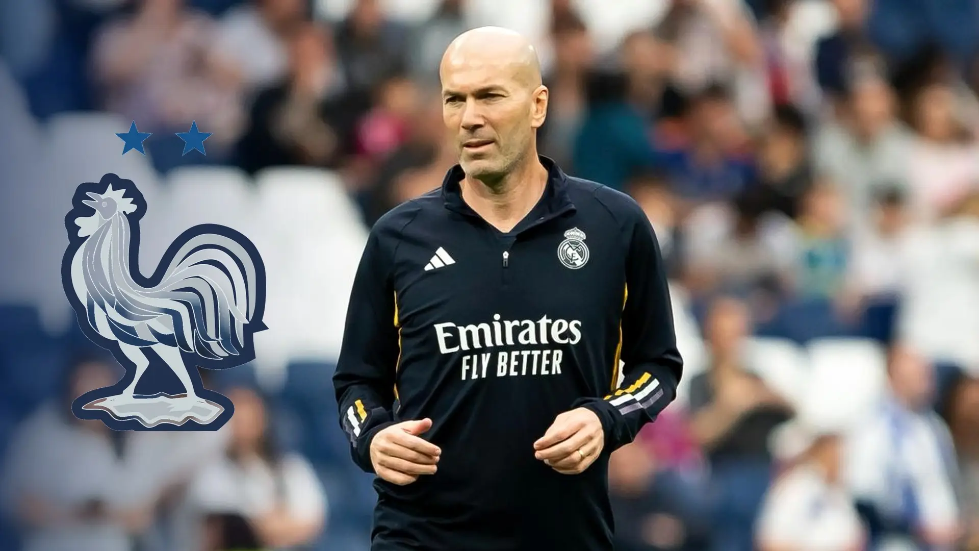 Zinédine Zidane with the France national football team crest